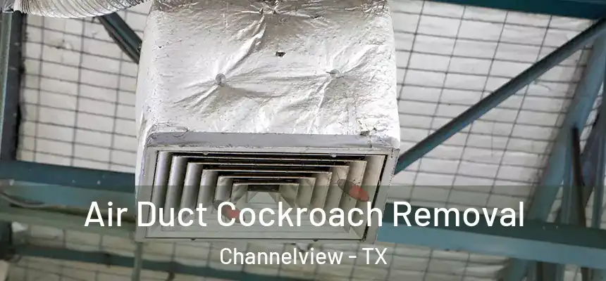  Air Duct Cockroach Removal Channelview - TX