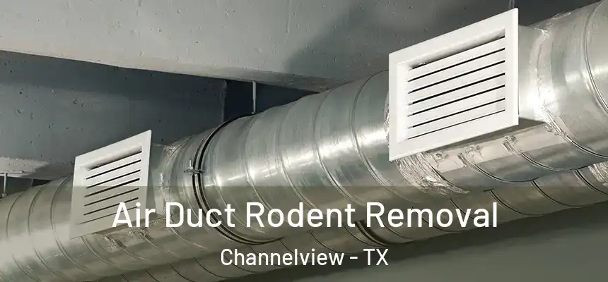 Air Duct Rodent Removal Channelview - TX