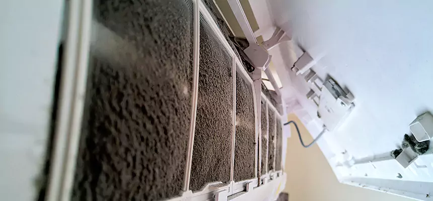 Preventive Air Duct Bacteria Removal in Channelview