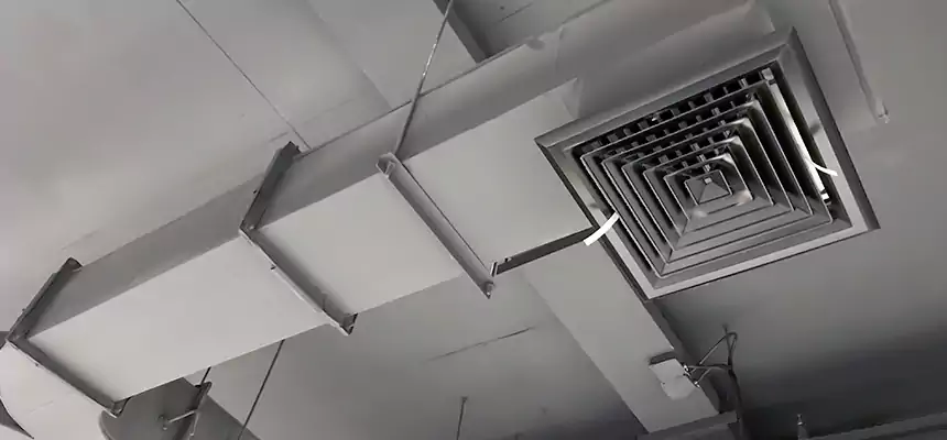 Restorative Allergy Relief Vent Cleaning – Coil, Blower & Housing Detail in Channelview