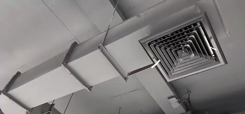 Our Pest Removal From Ducts Services in Channelview, TX