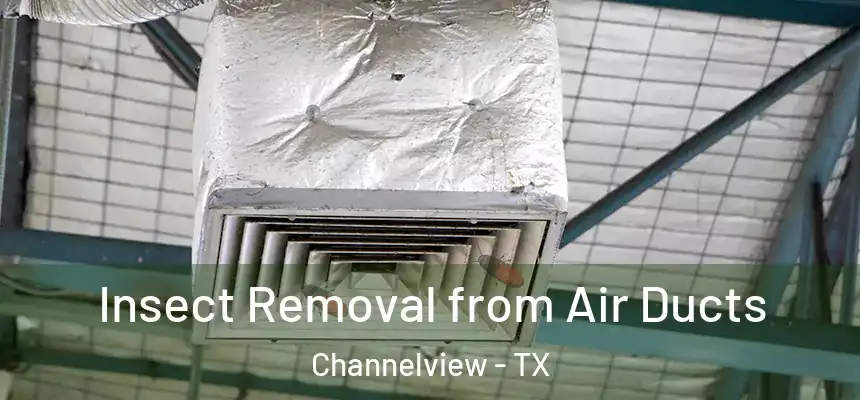  Insect Removal from Air Ducts Channelview - TX