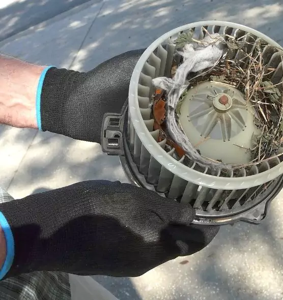 About Air Duct Rat Removal in Channelview, TX