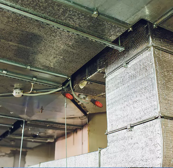 Why Homeowners & Businesses Trust Us in Channelview, TX?