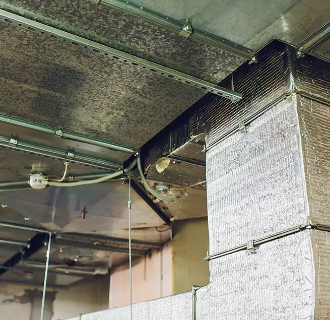 Why Homeowners & Businesses Trust Us in Channelview, TX?